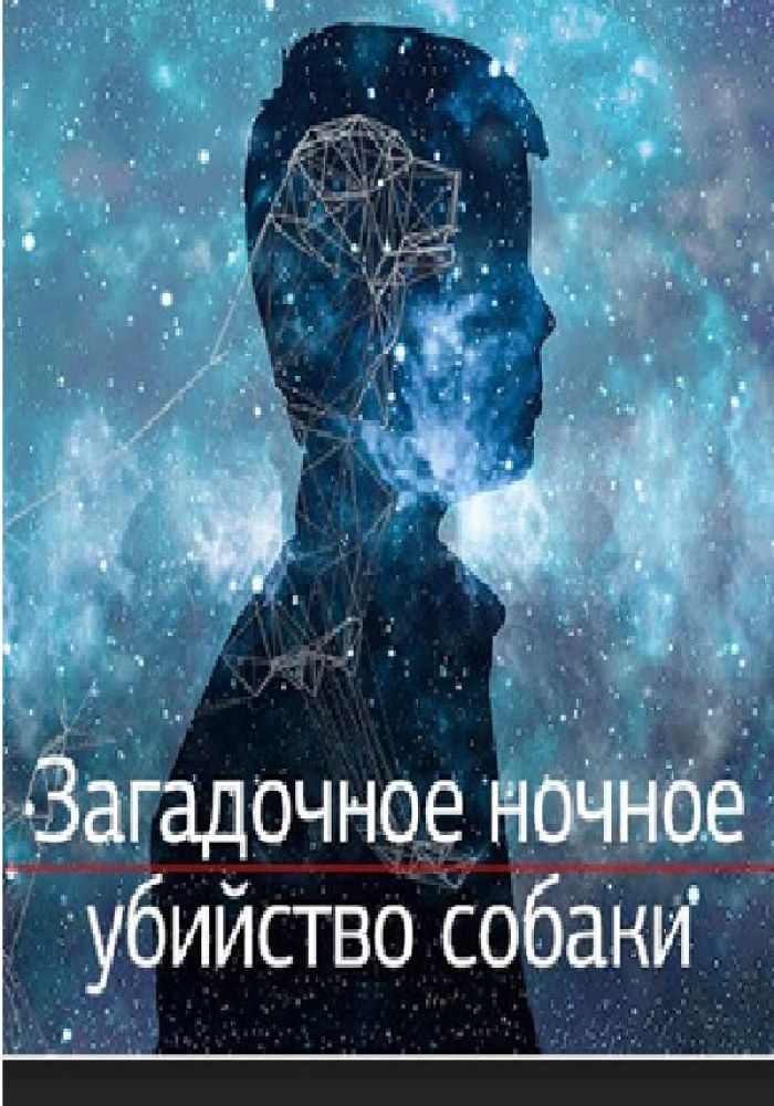 Загадкове нічне вбивство собаки