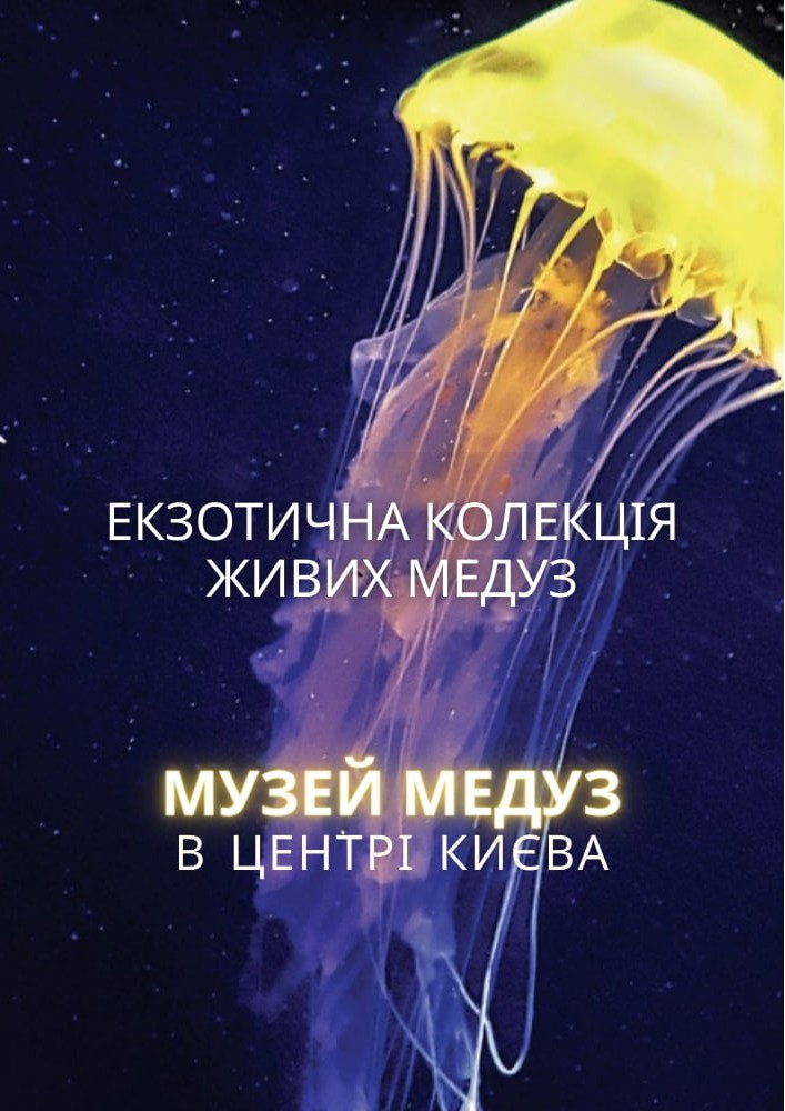 Київський музей медуз