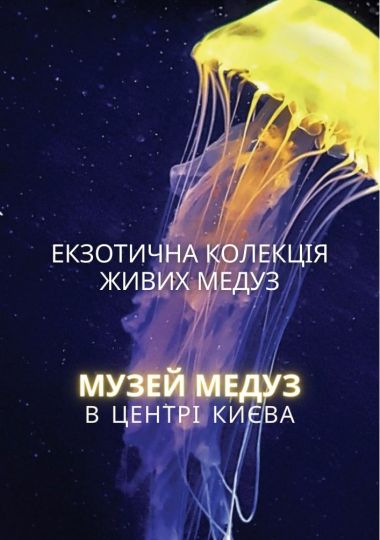 Київський музей медуз