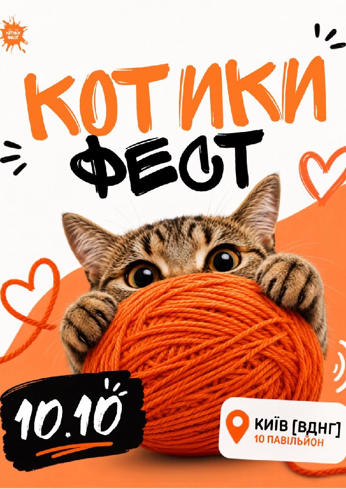 КОТИКИ ФЕСТ