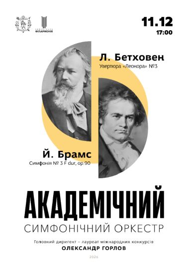 The concert of the Symphony orchestra